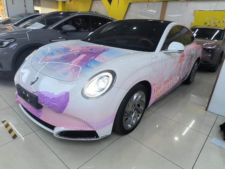 2022 555km Premium