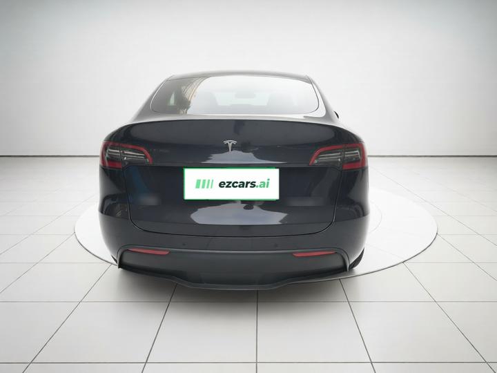 Model Y 2021 Long Range AWD photo 5
