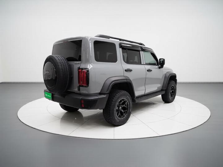300 2024 2.0T Conqueror photo 6