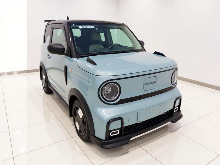 2025 210km Panda photo 3