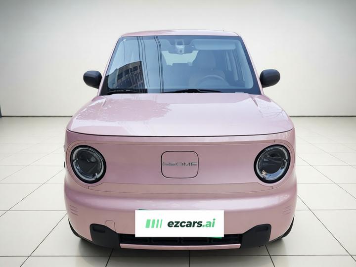2024 Panda mini 200km Endurance Bear photo 2