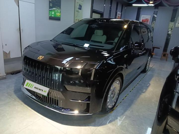 009 2024 6-Seater Executive AWD 108kWh