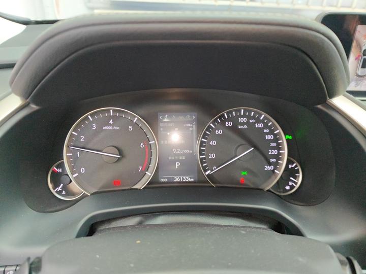 RX 2016 300 RWD Elite China V photo 8