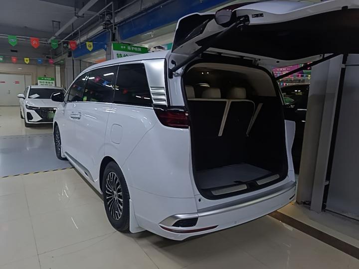 D9 2024 DM-i 980 AWD Noble photo 4