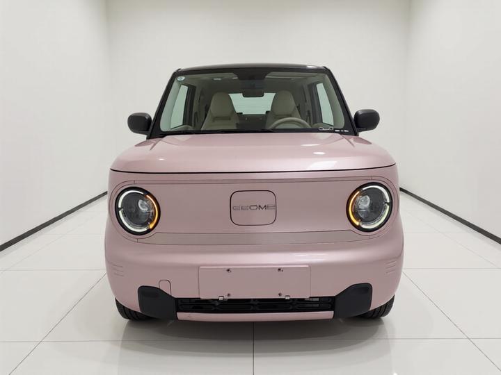 2023 Panda mini 200km photo 2
