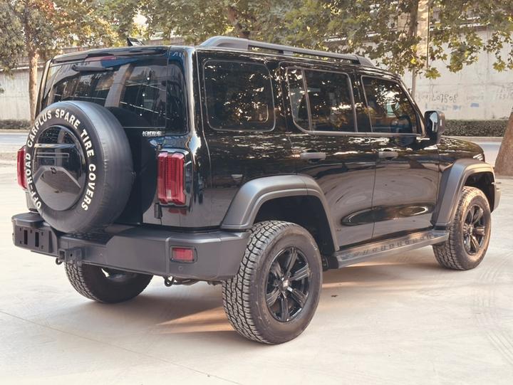 300 2023 Off-road 2.0T photo 6