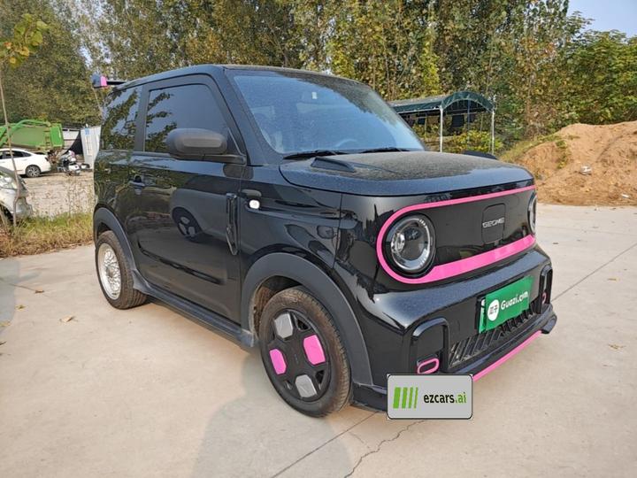 2025 210km Panda photo 5