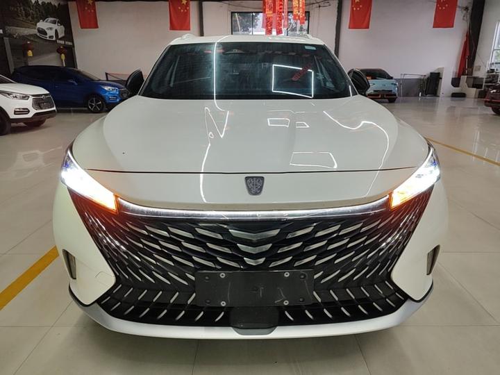 RX5 EV 2023 eRX5 photo 2