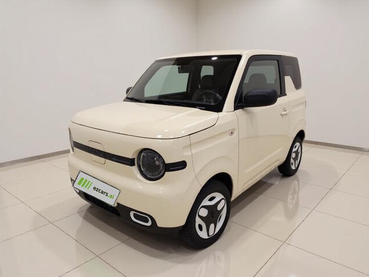 2025 Panda mini 210km Yuan