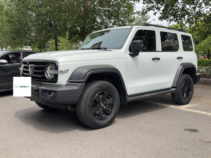 300 2021 Off-road 2.0T Conqueror