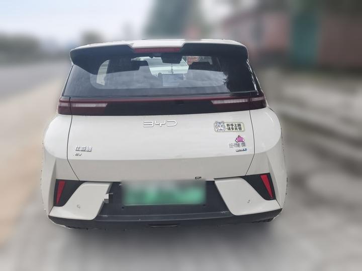 Seagull 2025 ADAS 305km photo 5