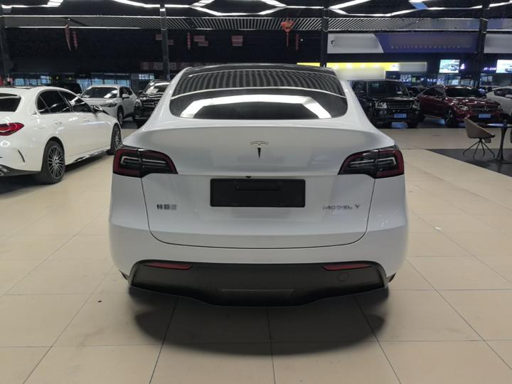 Model Y 2021 Standard Range RWD photo 3