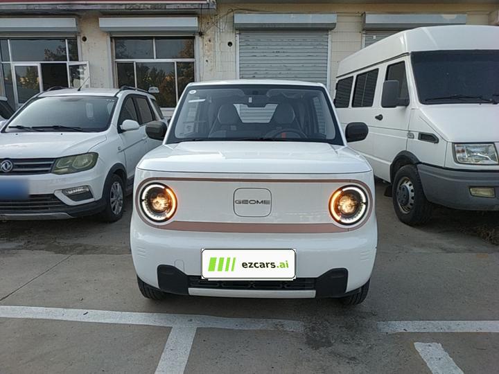 2024 Panda mini 200km Endurance Bear photo 2