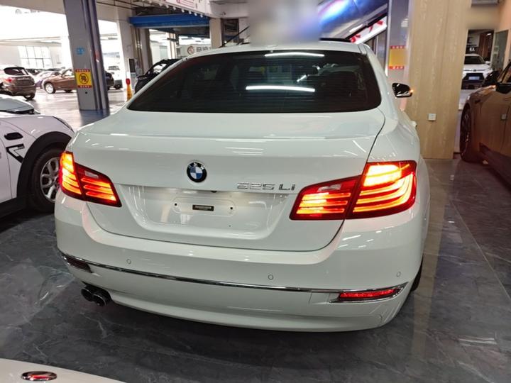 5 Series 2017 525Li Luxury Design Package photo 3