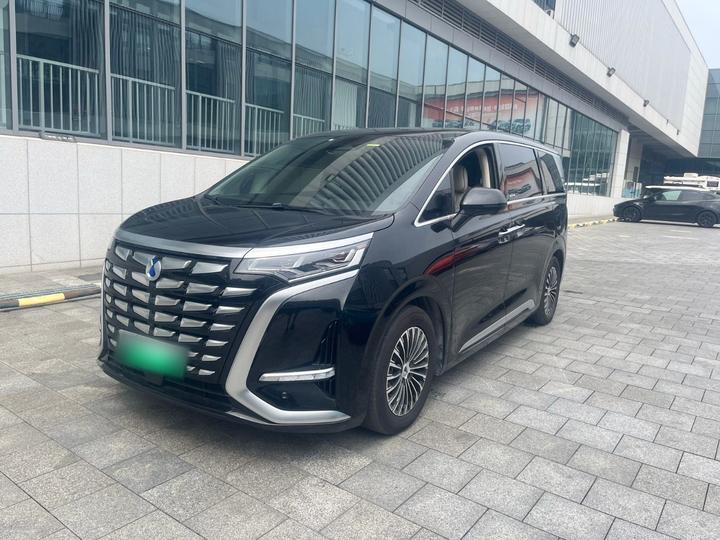 D9 2024 DM-i 980 AWD Premium