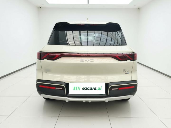 Yuan UP 2025 ADAS 401KM photo 5