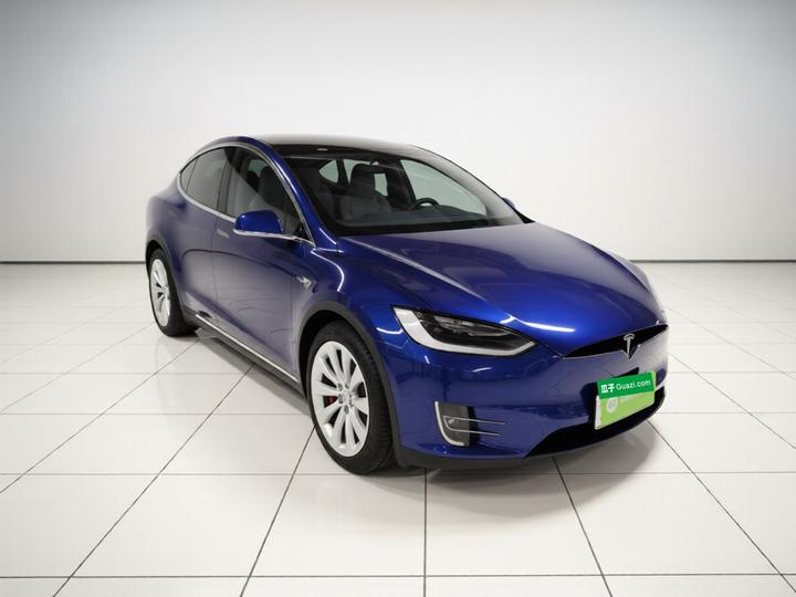 2017 Model X 100D Long Range photo 3