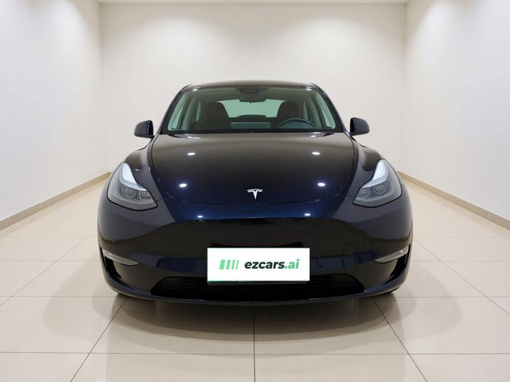 Model Y 2021 Standard Range RWD photo 2
