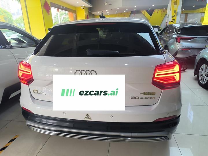 Q2L e-tron 2019 Q2L e-tron EV Smart photo 3