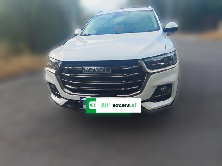 H6 2021 1.5T AT Champion photo 2