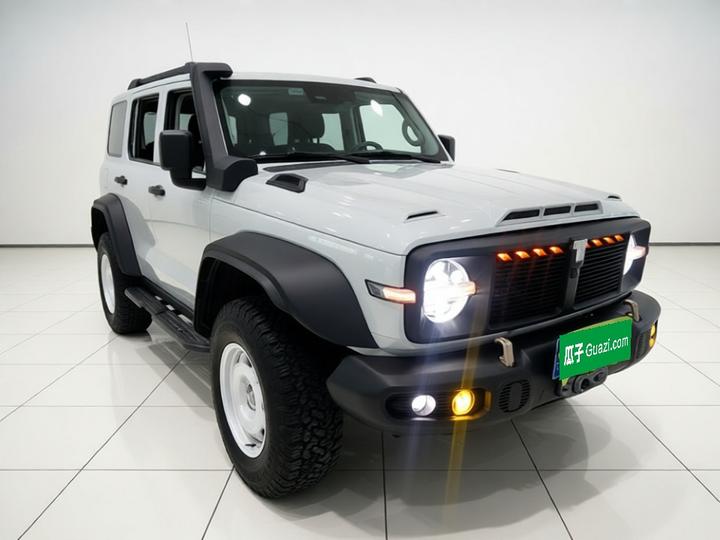 300 2023 2.0T 02 photo 3