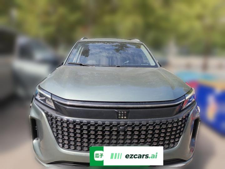 Bluelectric E5 2023 1.5L DE-i 100KM 7-Seater photo 2