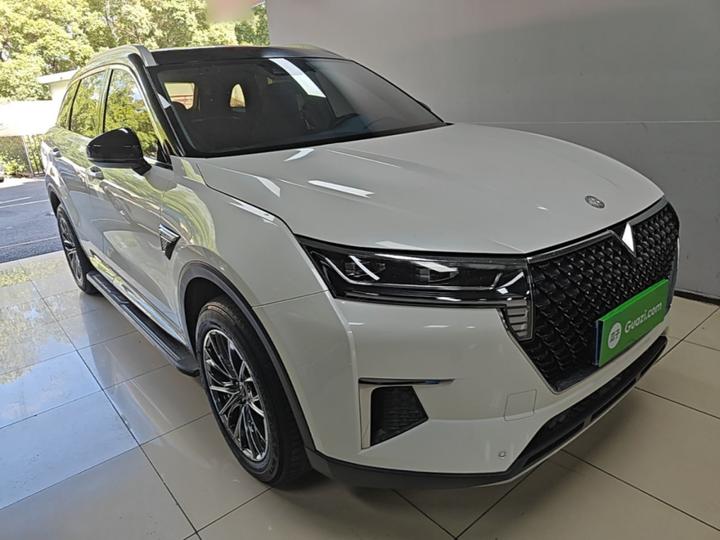 2020 260T AT 48V Mild Hybrid photo 3