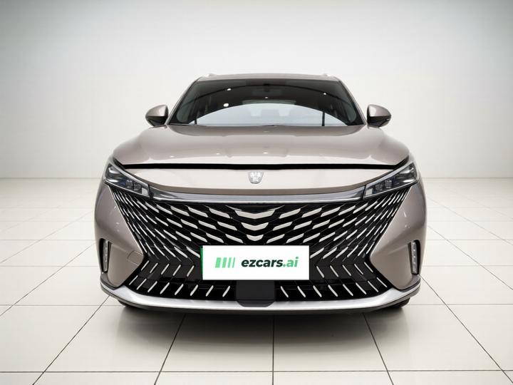 RX5 EV 2023 eRX5 photo 2