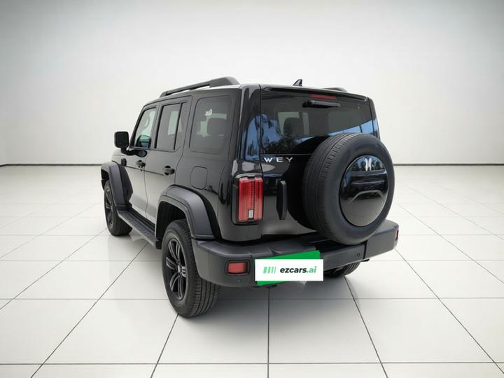 300 2021 Off-road 2.0T Conqueror photo 4