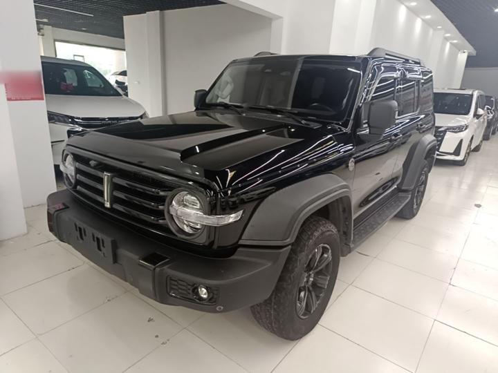 300 2021 Off-road 2.0T