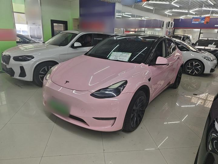 Model Y 2021 Standard Range RWD