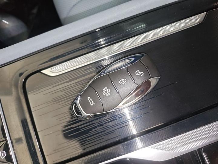 H5 PHEV 2025 170 photo 8
