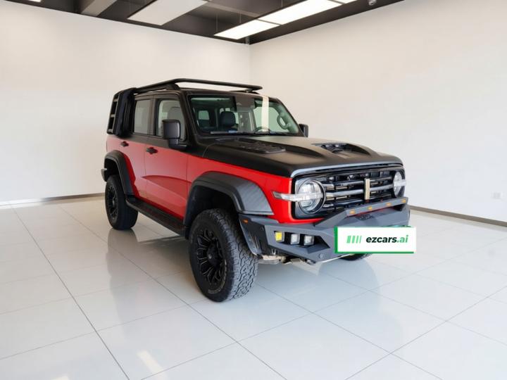 300 2021 Off-road 2.0T photo 3