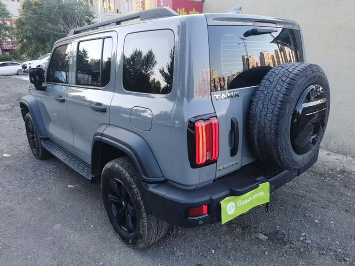 300 2021 Off-road 2.0T Conqueror photo 4