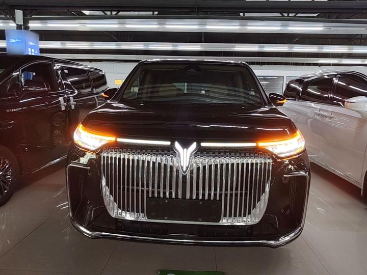 Voyah Dreamer 2025 PHEV AWD Excellence photo 2