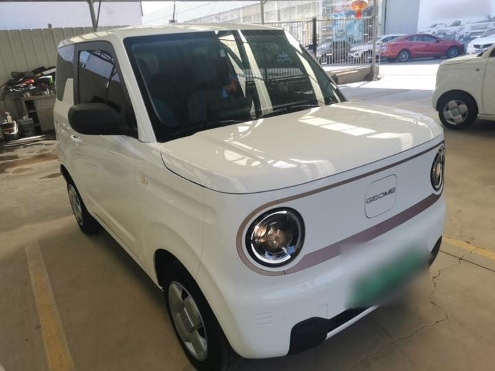 2024 Panda mini 200km Endurance Bear photo 3