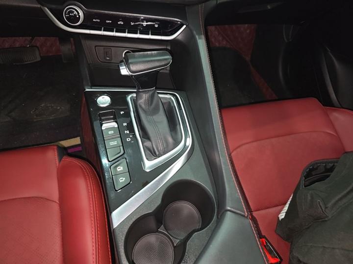 Eado 2020 PLUS NE 1.4T GDI DCT Flagship photo 5