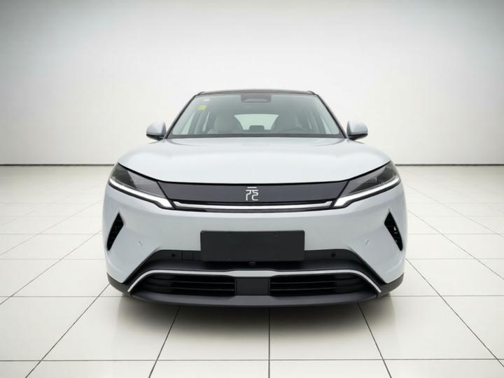 Yuan UP 2025 ADAS 401KM photo 2