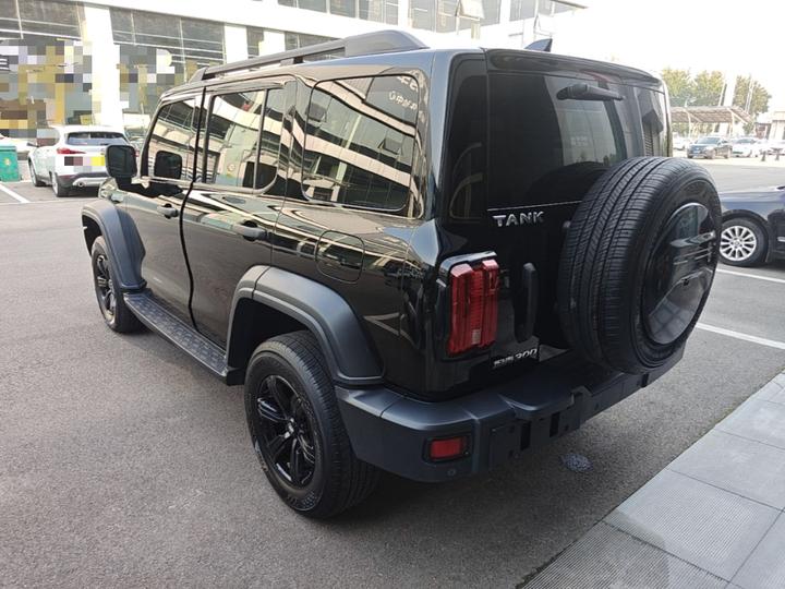 300 2021 Off-road 2.0T Conqueror photo 4