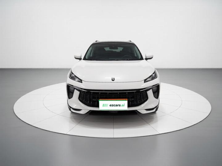 Forthing T5 EVO 2021 1.5TD DCT photo 2