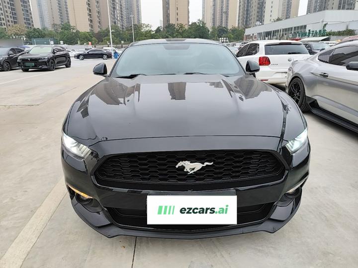 Mustang 2015 2.3T Performance photo 2