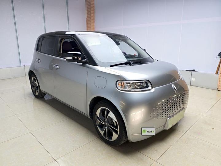 2020 305km Luxury photo 5