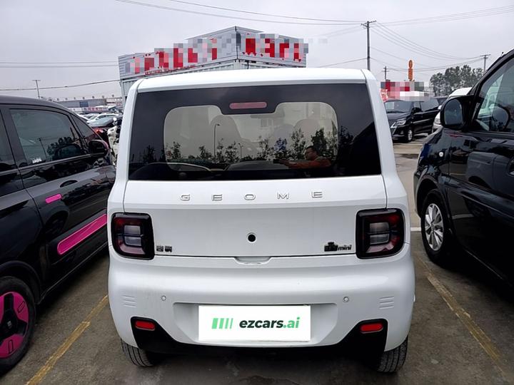 2025 210km Panda photo 3