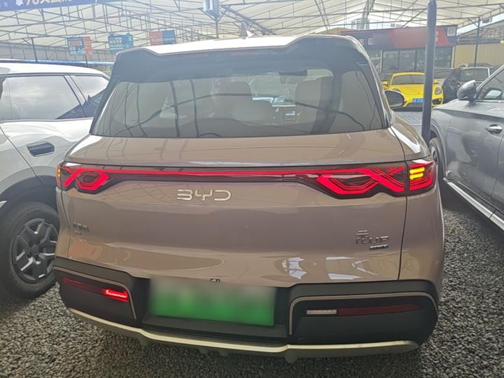 Yuan UP 2025 ADAS 401KM photo 5