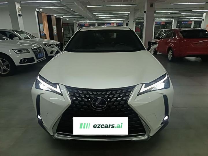 UX EV 2020 300e photo 2