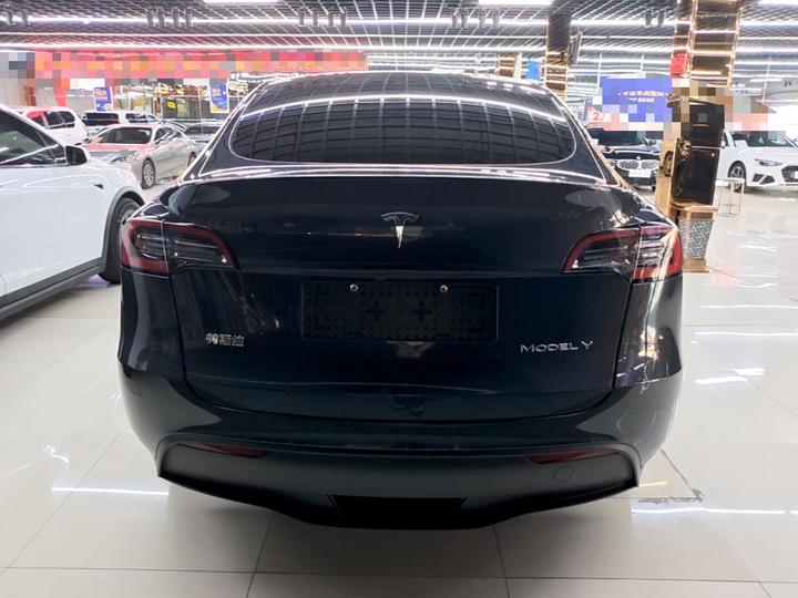 Model Y 2024 Long Range AWD photo 5