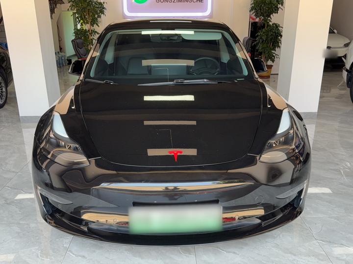 Model 3 2021 Facelift Performance AWD 3D1 photo 2