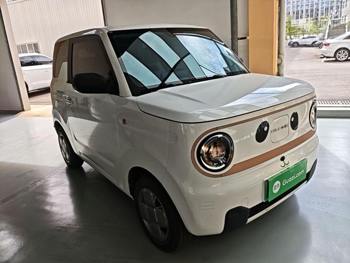 2023 Panda mini 200km Endurance Bear photo 3