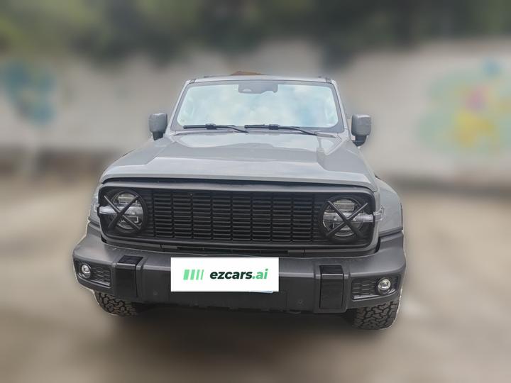 300 2024 2.0T photo 2