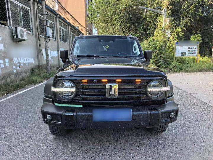 300 2023 Off-road 2.0T Conqueror photo 2